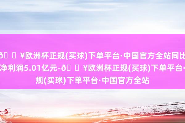 🔥欧洲杯正规(买球)下单平台·中国官方全站同比下跌3.47%；净利润5.01亿元-🔥欧洲杯正规(买球)下单平台·中国官方全站