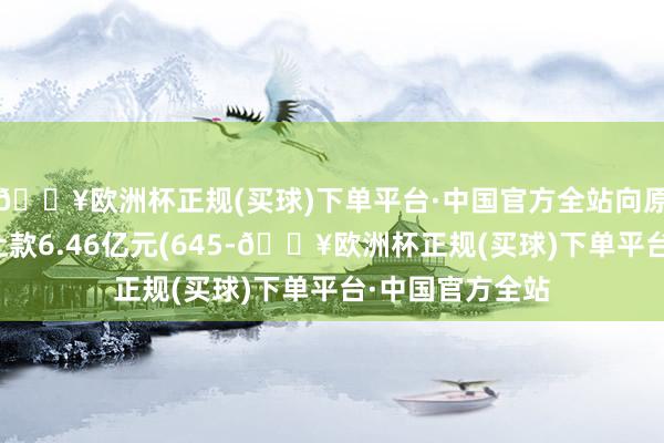 🔥欧洲杯正规(买球)下单平台·中国官方全站向原告支付债权转让款6.46亿元(645-🔥欧洲杯正规(买球)下单平台·中国官方全站