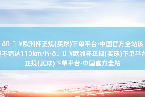 🔥欧洲杯正规(买球)下单平台·中国官方全站该电动车最高时速不错达110km/h-🔥欧洲杯正规(买球)下单平台·中国官方全站