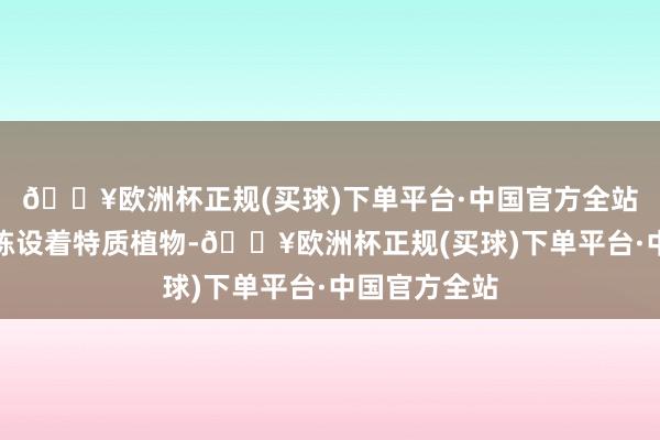 🔥欧洲杯正规(买球)下单平台·中国官方全站满满一面墙陈设着特质植物-🔥欧洲杯正规(买球)下单平台·中