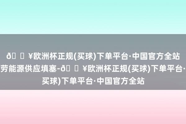 🔥欧洲杯正规(买球)下单平台·中国官方全站水力、电力、劳能源供应填塞-🔥欧洲杯正规(买球)下单平台·中国官方全站