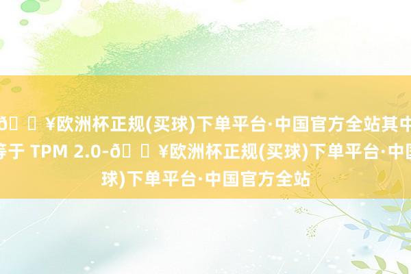 🔥欧洲杯正规(买球)下单平台·中国官方全站其中一项要求等于 TPM 2.0-🔥欧洲杯正规(买球)下单平台·中国官方全站