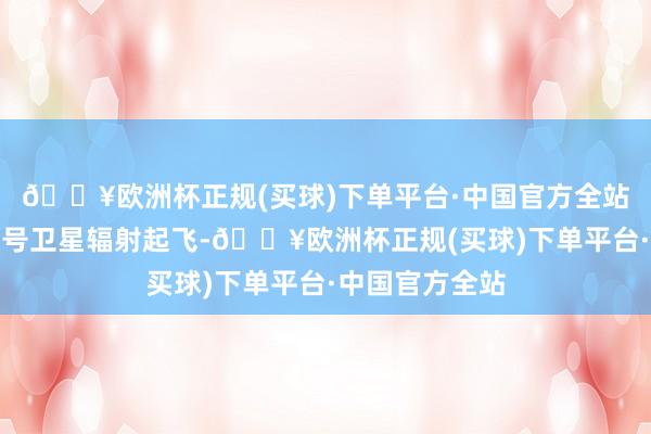 🔥欧洲杯正规(买球)下单平台·中国官方全站见效将海哨一号卫星辐射起飞-🔥欧洲杯正规(买球)下单平台·中国官方全站