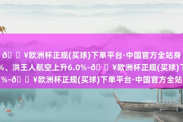 🔥欧洲杯正规(买球)下单平台·中国官方全站身分股菲利华上升6.1%、洪王人航空上升6.0%-🔥欧洲杯