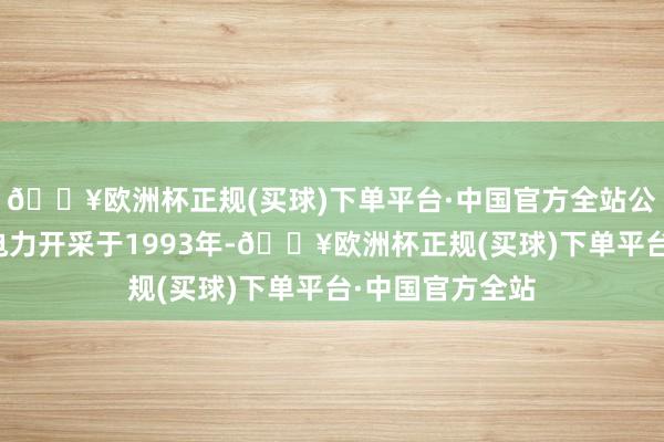 🔥欧洲杯正规(买球)下单平台·中国官方全站公司简介：龙源电力开采于1993年-🔥欧洲杯正规(买球)下单平台·中国官方全站